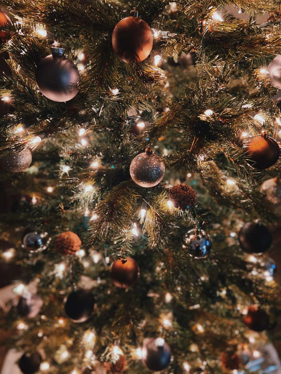 ornament multicolored baubles on tree plant